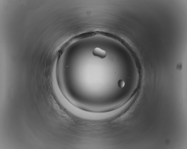 X0000112090977200908111349