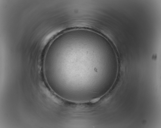 X0000112090979200908111349