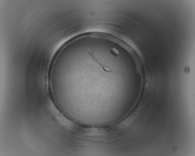 X0000112090980200908111349