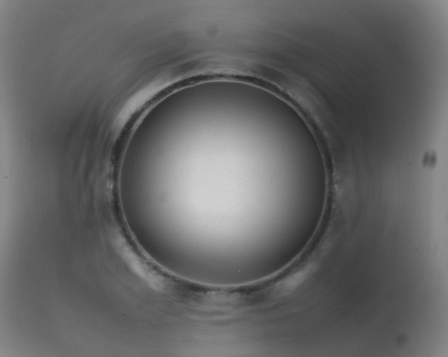 X0000112090981200908111349