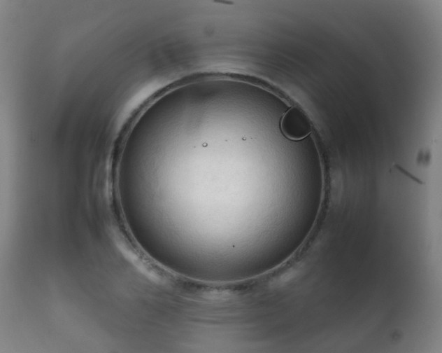 X0000112090982200908111349