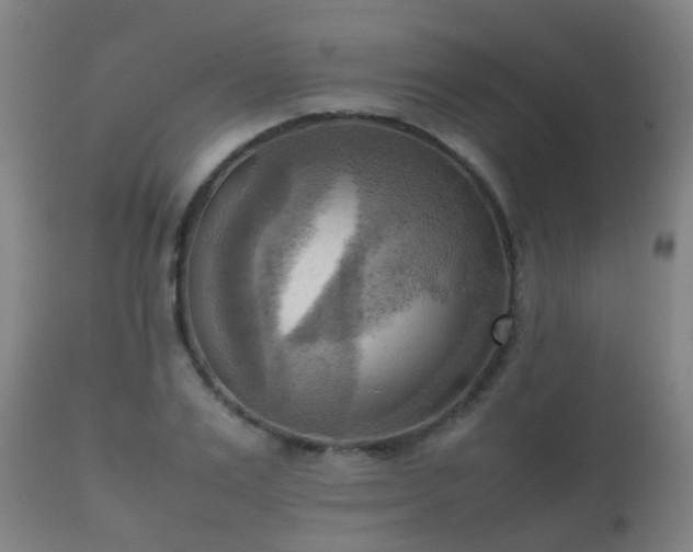 X0000112090983200908111349