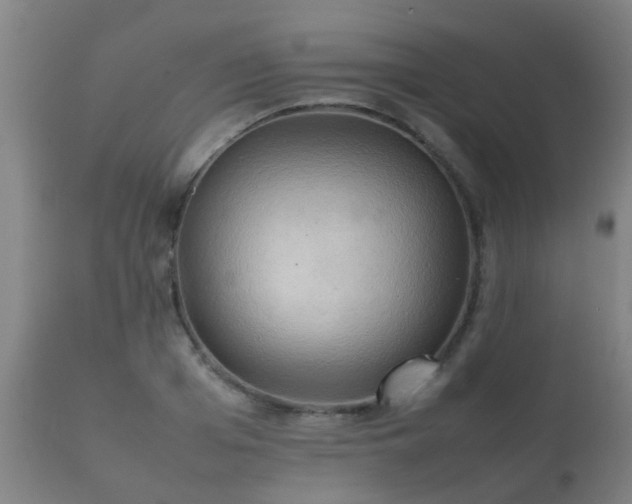 X0000112090985200908111349