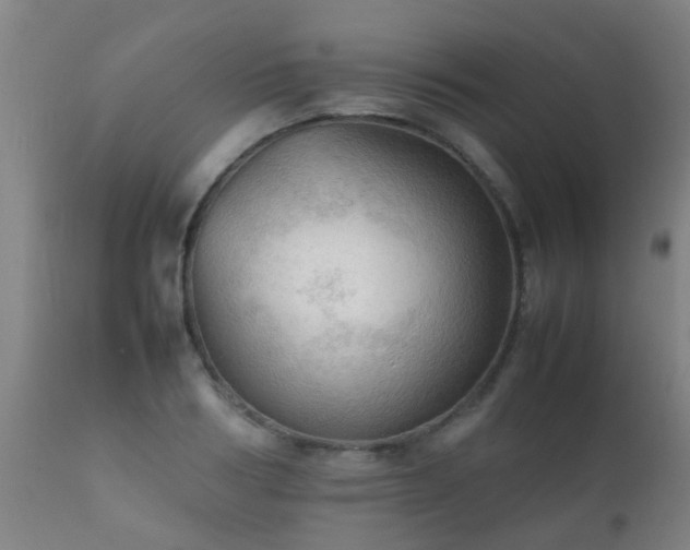 X0000112090986200908111349