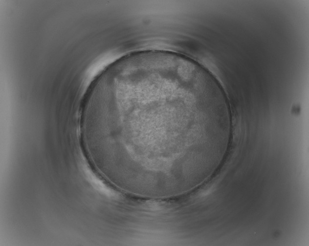 X0000112090987200908111349