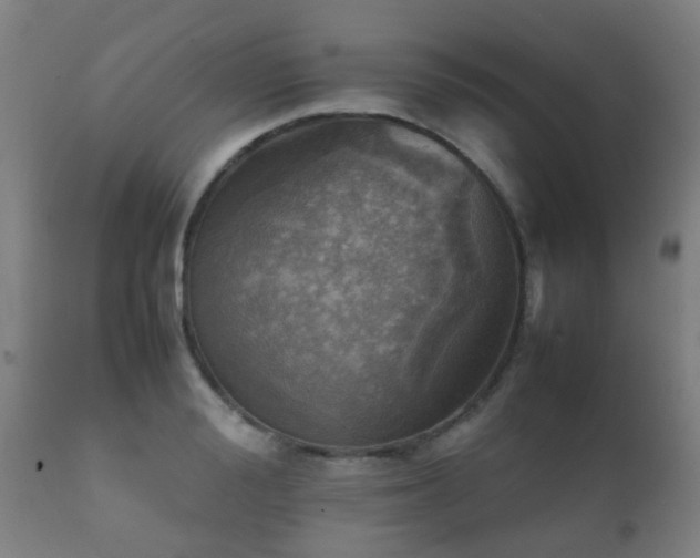 X0000112090988200908111349