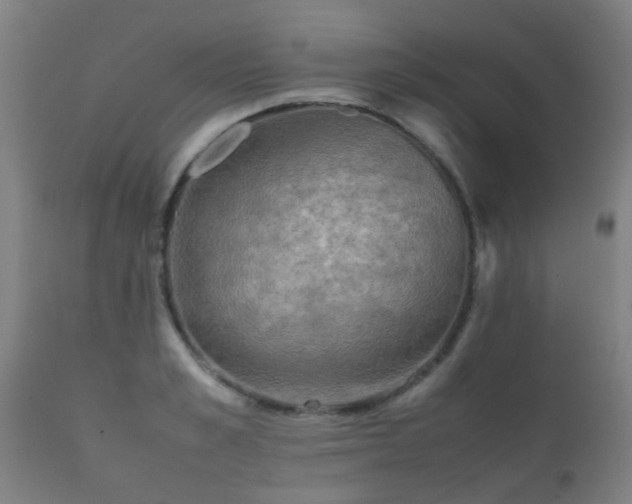 X0000112090989200908111349