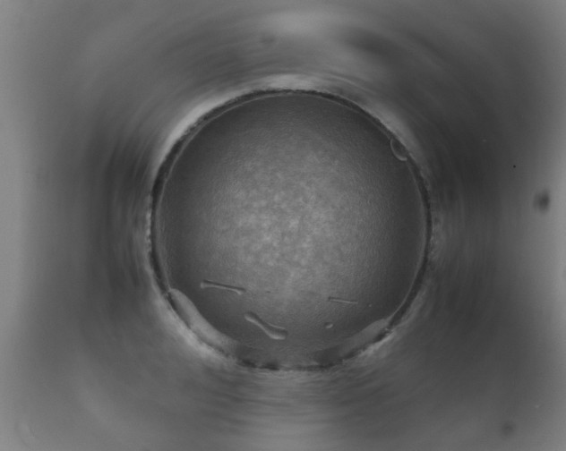 X0000112090992200908111349