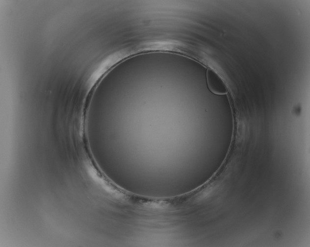 X0000112090994200908111348