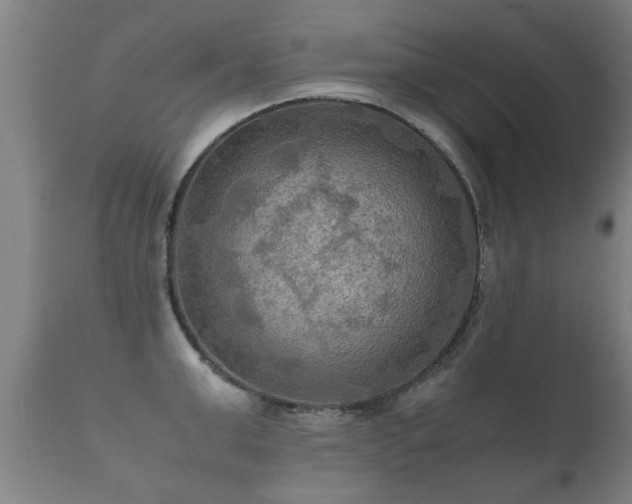 X0000112090999200908111348