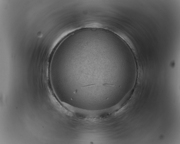 X0000112091000200908111348