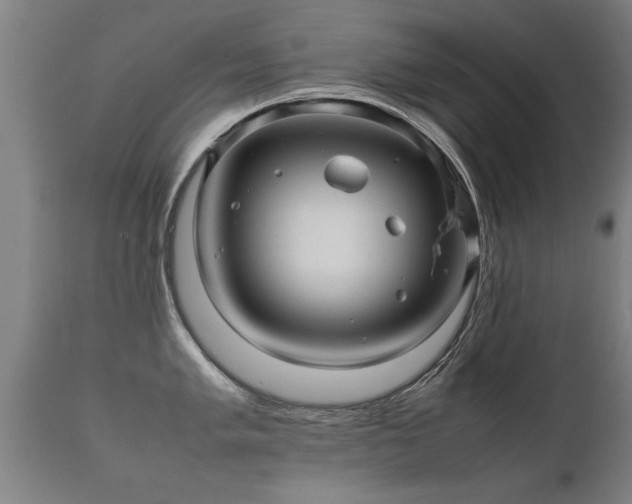 X0000112091005200908111348