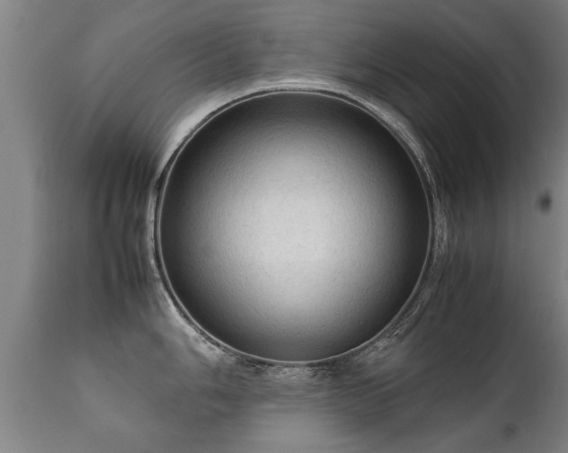 X0000112091006200908111348