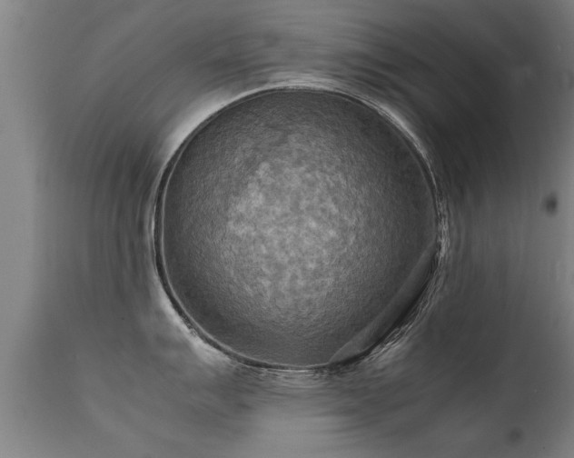 X0000112091007200908111348