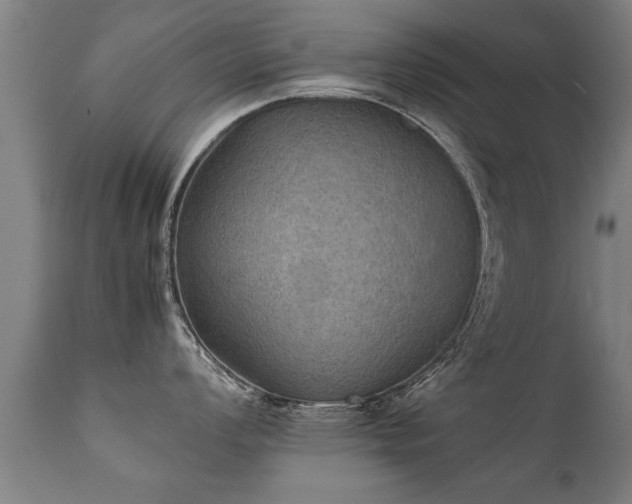 X0000112091008200908111348