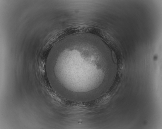 X0000112091010200908111347