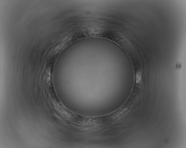 X0000112091011200908111348