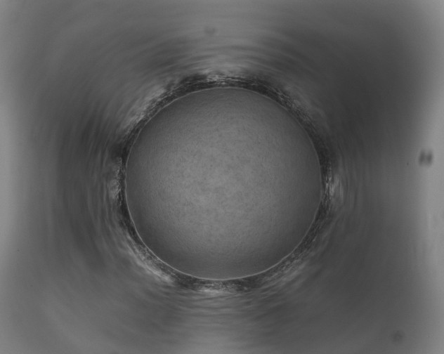 X0000112091012200908111348