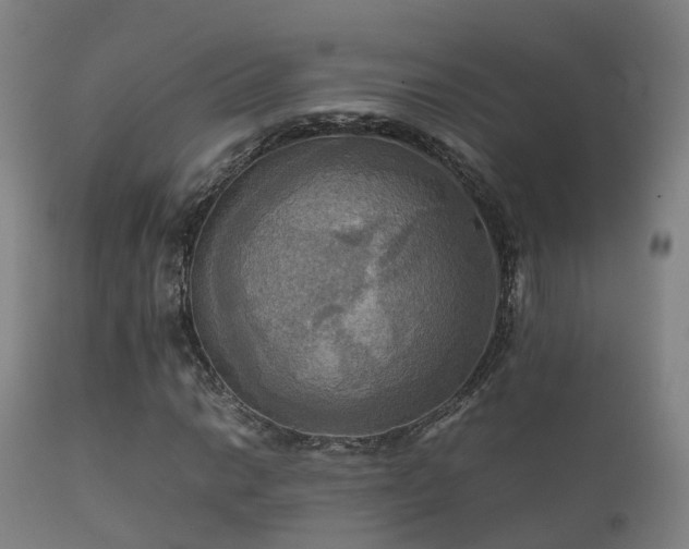 X0000112091014200908111348