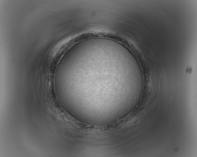 X0000112091016200908111348