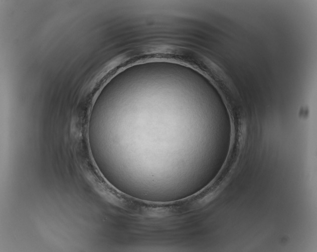 X0000112091017200908111348