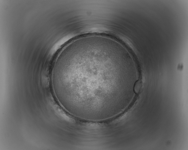 X0000112091018200908111348