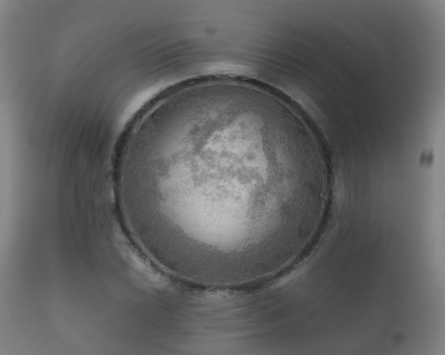 X0000112091022200908111348