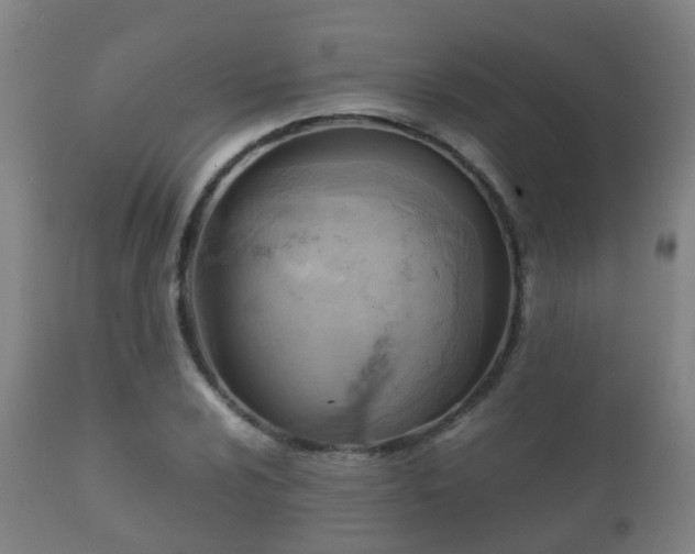 X0000112091024200908111348