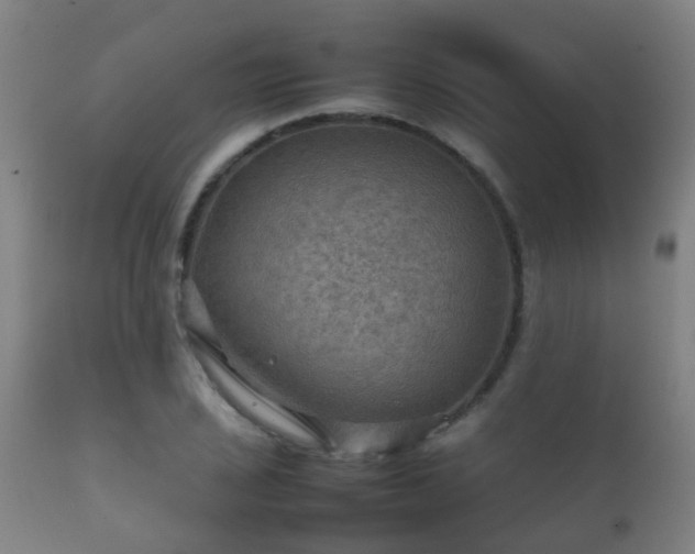 X0000112091029200908111348