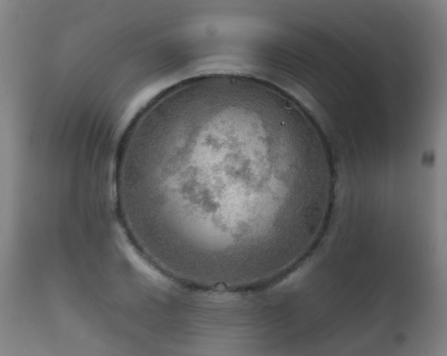 X0000112091030200908111348