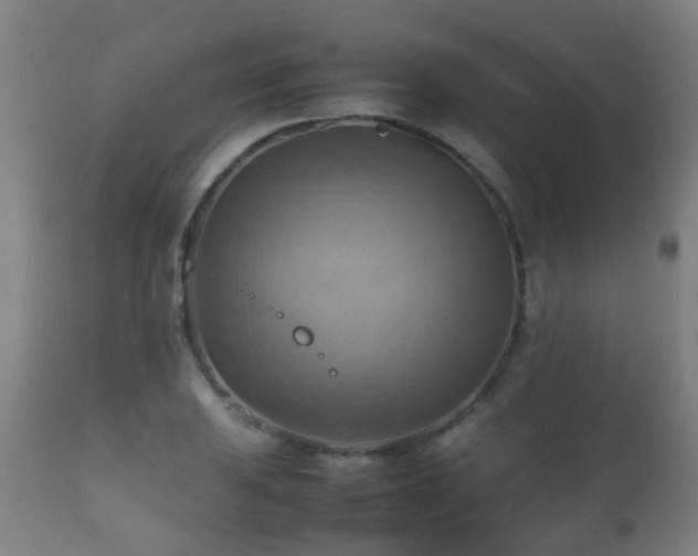 X0000112091031200908111348