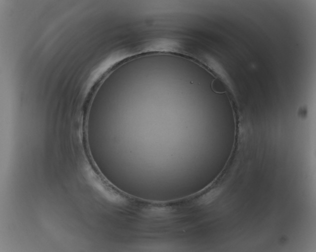 X0000112091035200908111348