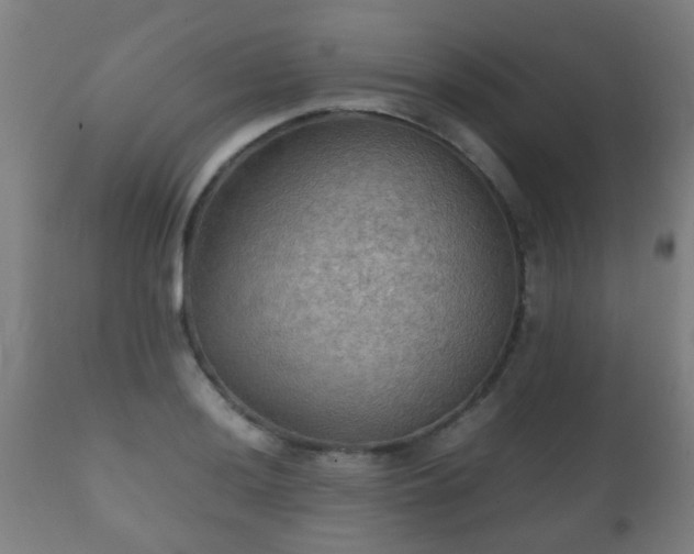 X0000112091036200908111348