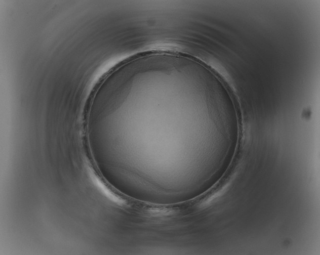 X0000112091037200908111348