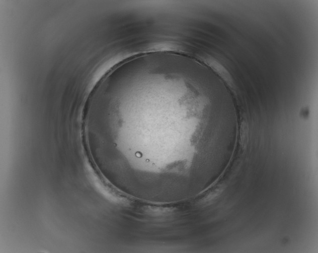 X0000112091039200908111348