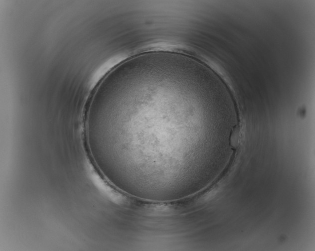 X0000112091042200908111348