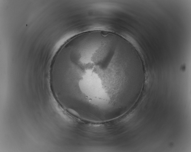 X0000112091043200908111348