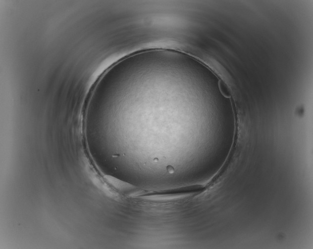 X0000112091044200908111348