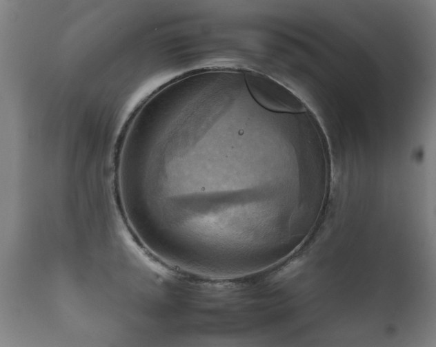 X0000112091045200908111348