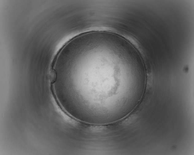 X0000112091046200908111348