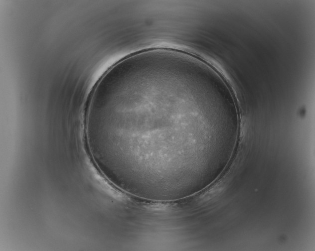 X0000112091048200908111348