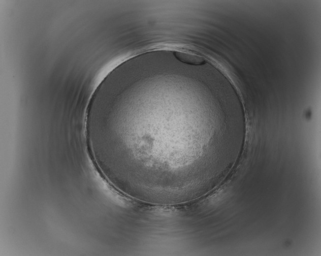 X0000112091050200908111348