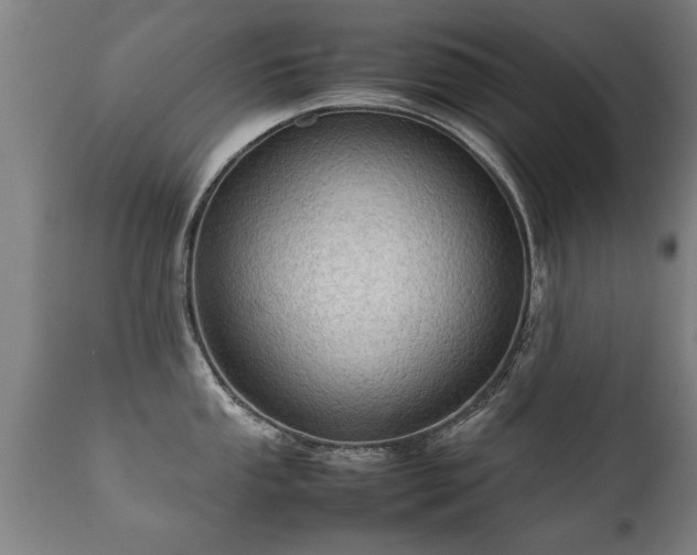 X0000112091053200908111348