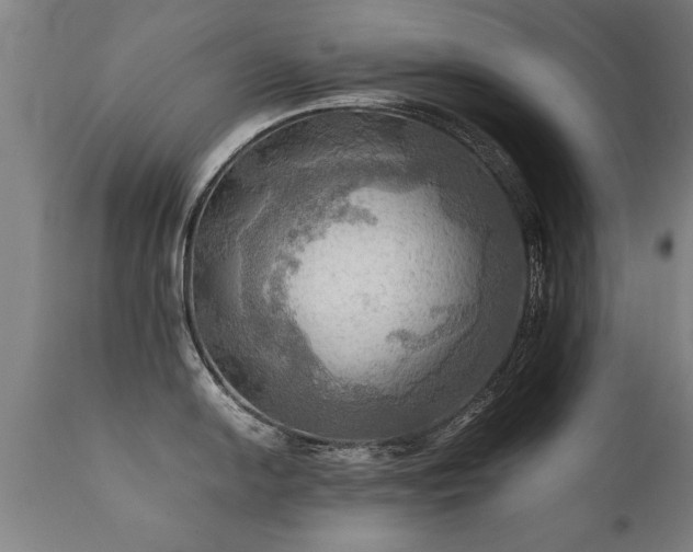 X0000112091054200908111348