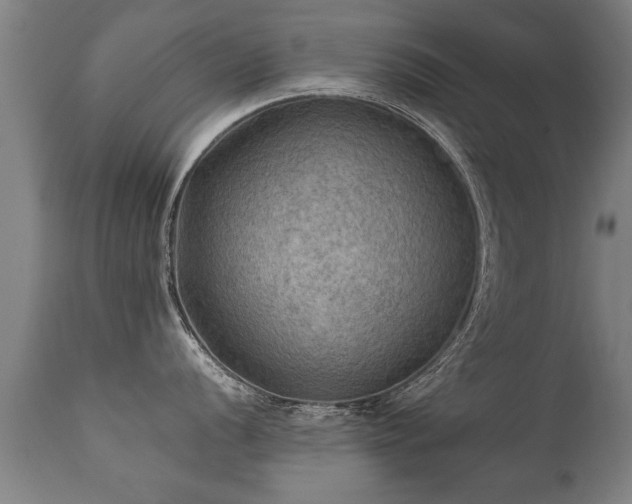 X0000112091056200908111348