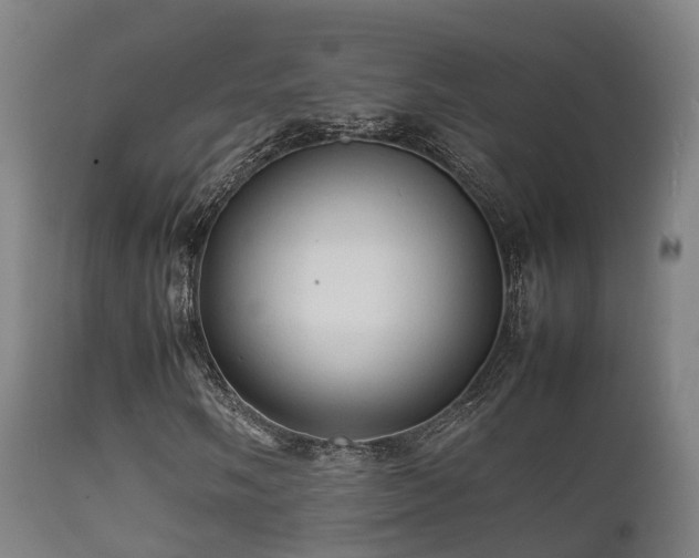 X0000112091058200908111347