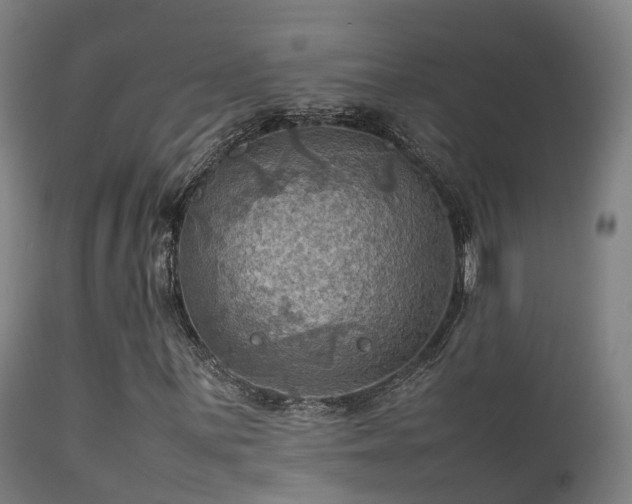 X0000112091059200908111347