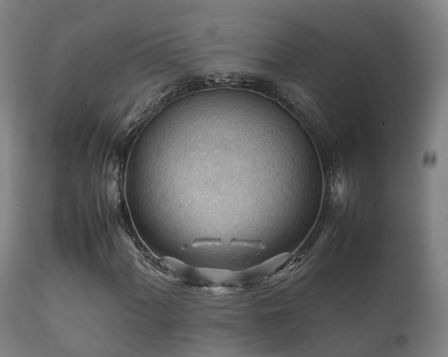 X0000112091060200908111347