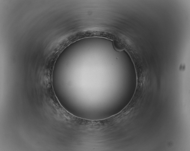 X0000112091062200908111347