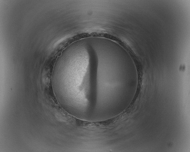 X0000112091063200908111347